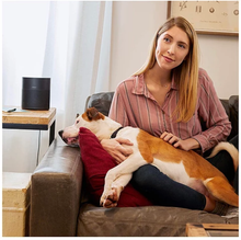 Load image into Gallery viewer, BOSE Home SPKR 300 TRPL BLK 240V KR/in/T