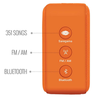 Load image into Gallery viewer, Saregama Carvaan Mini 2.0 Shrimad Bhagavad Gita- Music Player with Bluetooth/FM/