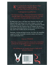 Load image into Gallery viewer, New Moon