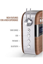 Load image into Gallery viewer, Saregama Carvaan Hindi - Portable Music Player with 5000 Preloaded Songs, FM/BT/Aux & USB