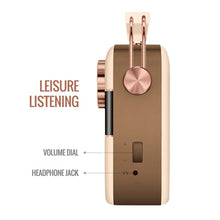 Load image into Gallery viewer, Saregama Carvaan Bluetooth Multimedia Speaker- Rose Gold