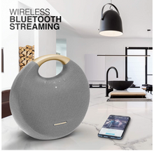 Load image into Gallery viewer, Harman Kardon Onyx Studio 6 Portable Wireless Speaker with IPX7 Waterproof (Grey)