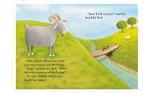 Load image into Gallery viewer, My First Story time The Three Billy Goats Gruff
