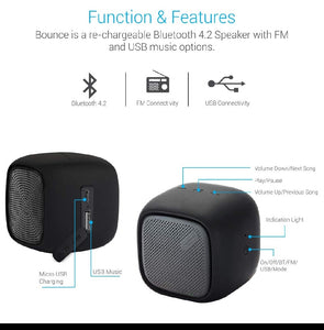 Portronics Bounce POR-939 Portable Wireless Bluetooth Speaker with FM & USB Music (Black)