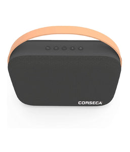 Corseca speaker cheap