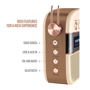 Saregama Carvaan Bluetooth Multimedia Speaker- Rose Gold