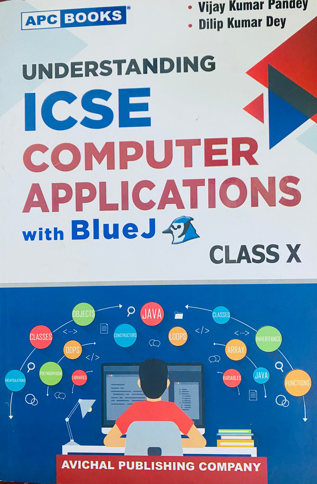 Understanding ICSE Computer Applications with Blue J Class- X