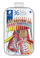 Load image into Gallery viewer, Staedtler Coloured Hexagonal Pencils in metal box packing of 36 coloured pencils 175 M36
