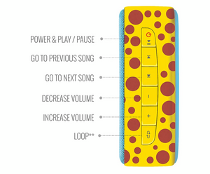 Saregama Carvaan Mini Kids - Pre-Loaded with Stories, Rhymes, Learnings, Mantras with Bluetooth/USB/Aux in-Out