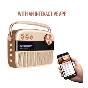 Saregama Carvaan Bluetooth Multimedia Speaker- Rose Gold